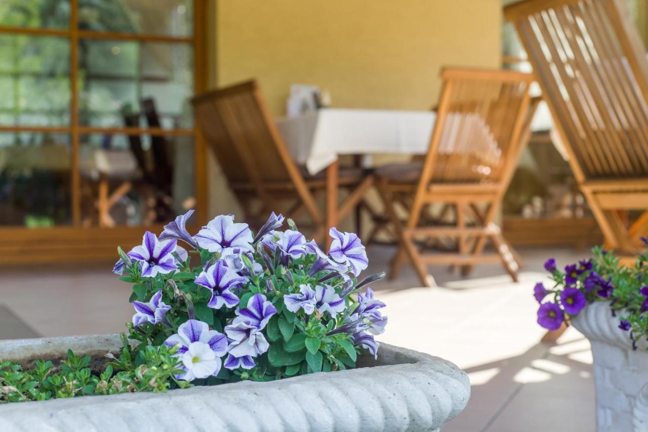 Halászi Regia Panzio B&B 외부 사진